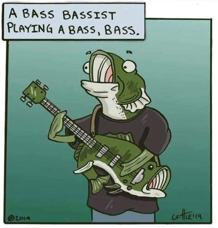 Figure 2: BASS BASS
